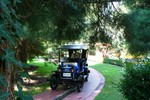 EP1976 - Oldtimer-Fahrt