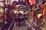 EP1981 - Elfenfahrt